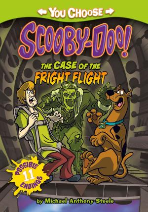 Book cover of The Case of the Fright Flight