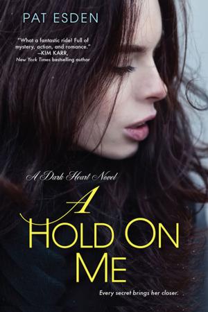 Cover of the book A Hold on Me by Kiki Swinson, De'nesha Diamond