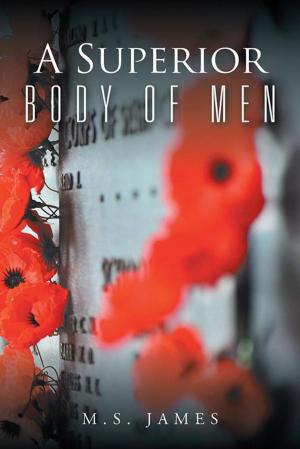 Cover of the book A Superior Body of Men by DAPHNE R. FOSTER