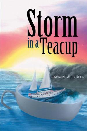 Cover of the book Storm in a Teacup by D E McLean