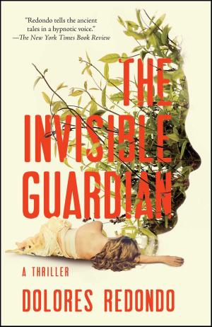 Cover of the book The Invisible Guardian by Cecilia Samartin