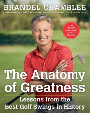 Cover of the book The Anatomy of Greatness by Richard Rowley