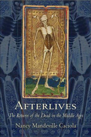 Cover of the book Afterlives by Steven W. May, Arthur F. Marotti