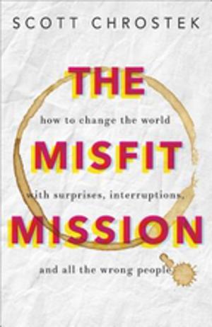 Cover of the book The Misfit Mission by David deSilva