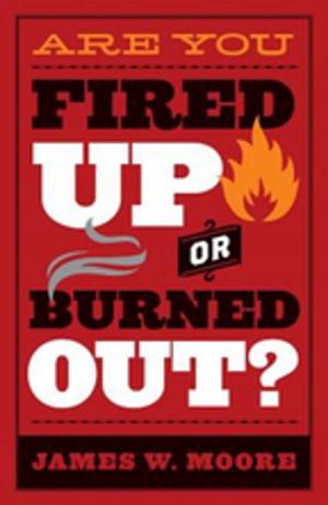 Cover of the book Are You Fired Up or Burned Out? by Jessica LaGrone, Rob Renfroe, Ed Robb, Andy Nixon