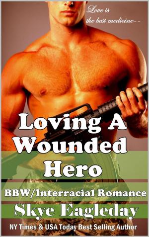 bigCover of the book Loving A Wounded Hero by 