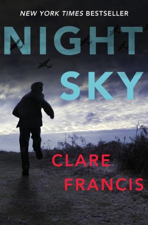 Cover of the book Night Sky by John DeChancie