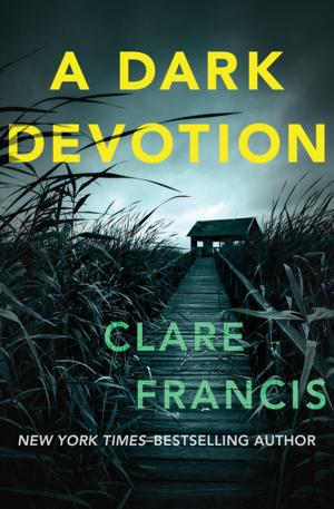 Cover of the book A Dark Devotion by Paul Monette
