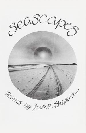 Cover of the book Seascapes by Charles Holdefer