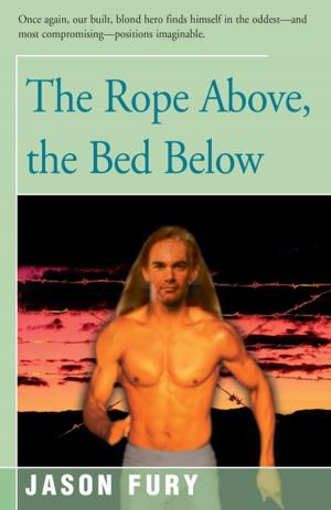 Cover of the book The Rope Above, the Bed Below by Jason Fury