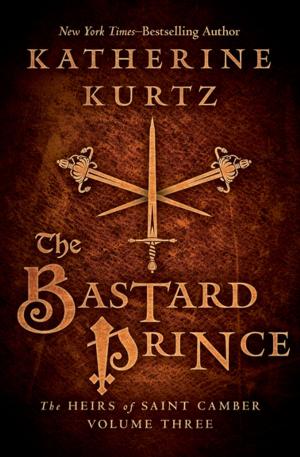 Cover of the book The Bastard Prince by Rich Feitelberg