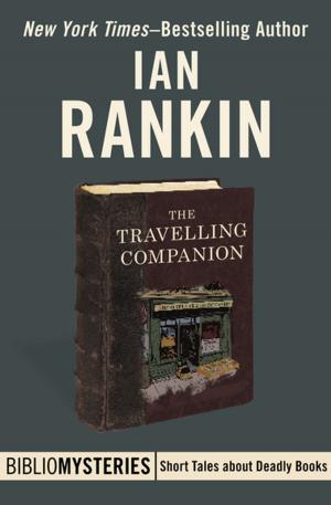 Cover of the book The Travelling Companion by Barbara Hambly