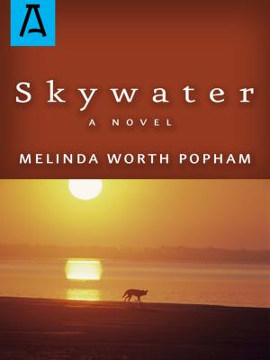 Cover of the book Skywater by Michael Cadnum