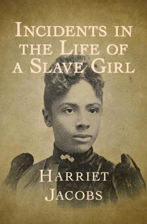 Cover of the book Incidents in the Life of a Slave Girl by Darcy O'Brien