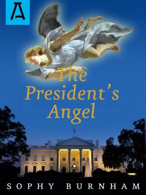 Cover of the book The President's Angel by David Burnham