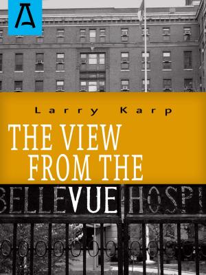 Book cover of The View from the Vue