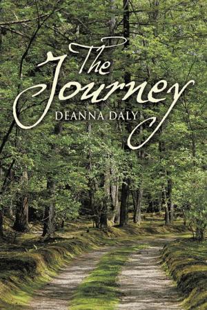 Cover of the book The Journey by Jeri K. Tory Conklin