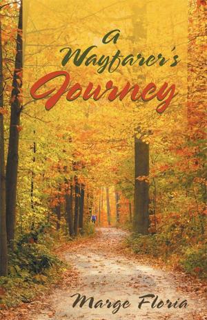 Cover of A Wayfarer's Journey