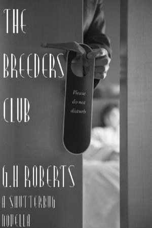 bigCover of the book The Breeders Club by 