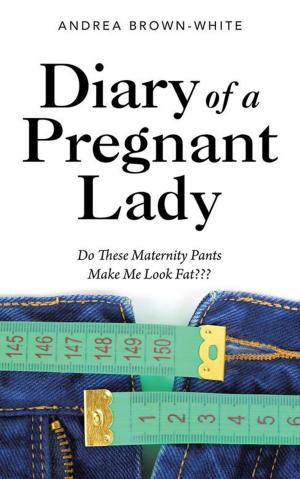 Cover of the book Diary of a Pregnant Lady by Louis E. Guglielmino