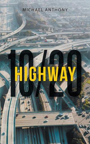 bigCover of the book Highway 10/20 by 