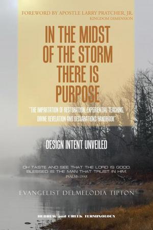 Cover of the book In the Midst of the Storm There Is Purpose by Nicholas Vachel Lindsay