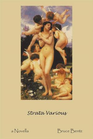 Cover of the book Strata Various by Anthony James