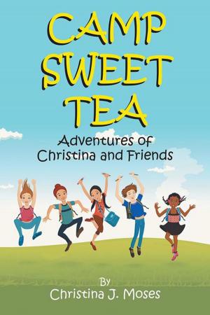 Cover of the book Camp Sweet Tea by Mahin Ghavamian