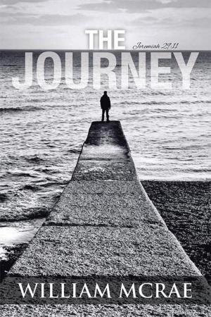 Cover of the book The Journey by Lee E. Jacokes