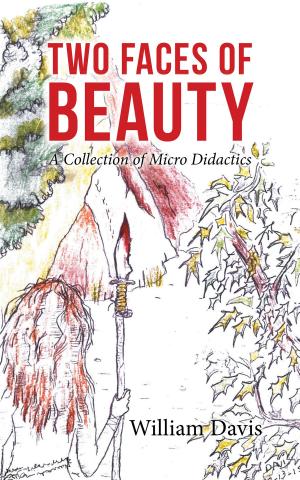 Cover of the book Two Faces of Beauty by Christine Neilson