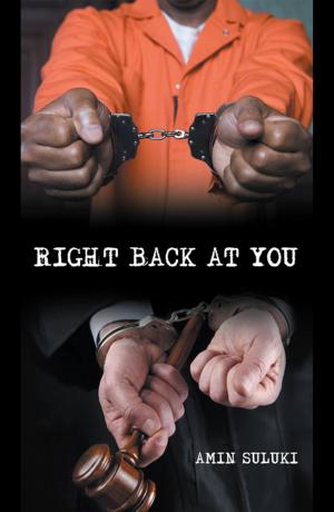 Cover of the book Right Back at You by Kathy Shuker