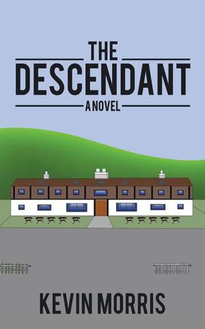 Cover of the book The Descendant by Stilovsky, Schrödinger