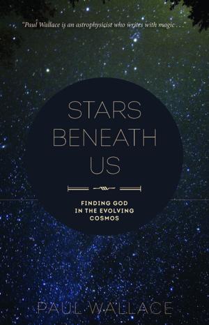 Cover of the book Stars Beneath Us by Alexei V. Nesteruk
