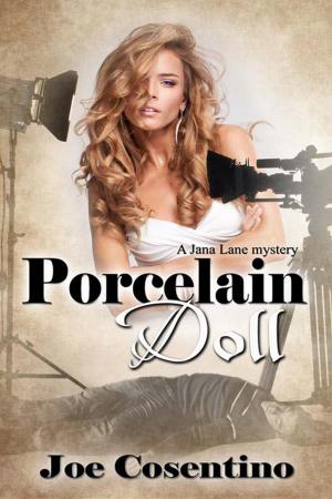 Cover of the book Porcelain Doll by jj  Keller