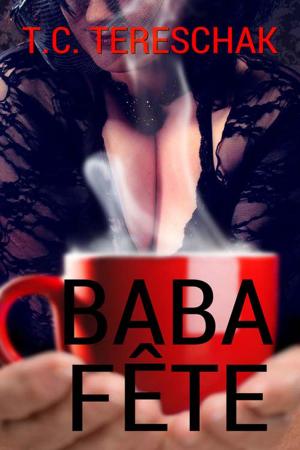 Cover of the book Baba Fête by Laura Freeman