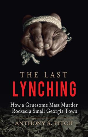 Book cover of The Last Lynching