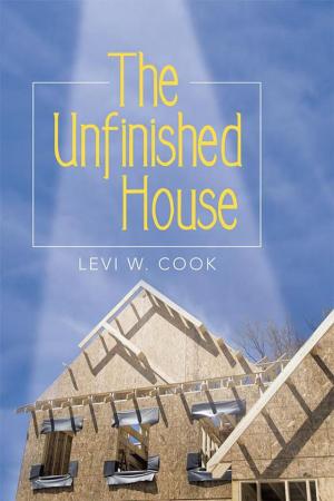 Cover of the book The Unfinished House by Jennifer Wills