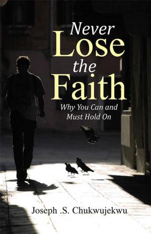 bigCover of the book Never Lose the Faith by 