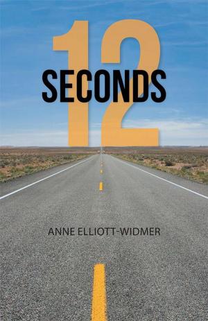 Cover of the book 12 Seconds by Lana Lee Marler