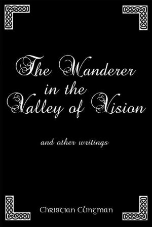 Cover of the book The Wanderer in the Valley of Vision by Brandon Reed