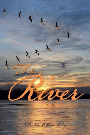 Cover of the book The River by Clovis McCallister