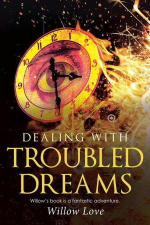 Cover of the book Dealing with Troubled Dreams by Billy Burnette