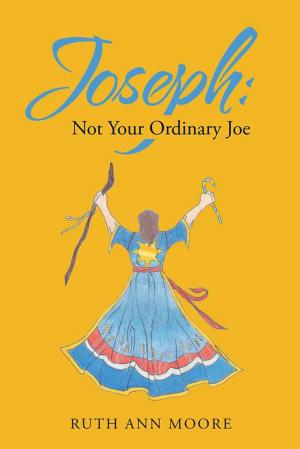 Book cover of Joseph: Not Your Ordinary Joe