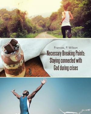Cover of the book Necessary Breaking Points: Staying Connected with God During Crises by James Schmidt