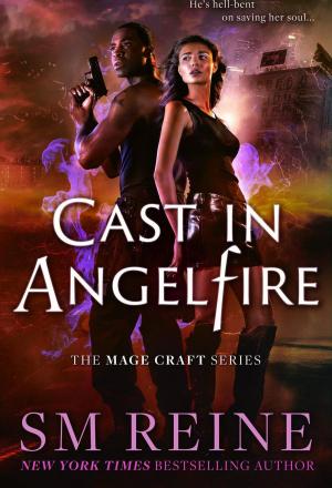 Cover of the book Cast in Angelfire by R.E.S. Tidmore