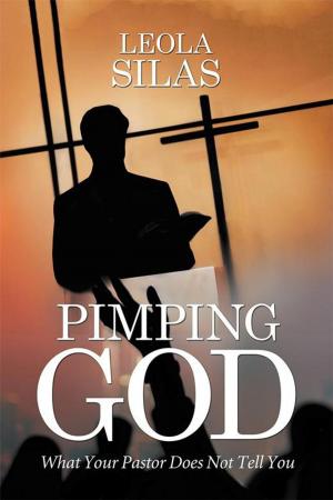 Cover of the book Pimping God by Betty “Beattie” Chandorkar