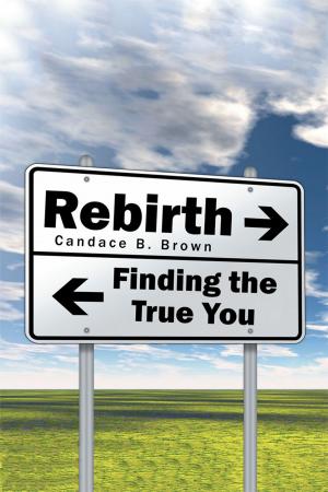 Cover of the book Rebirth . . . by Patricia Daly-Lipe
