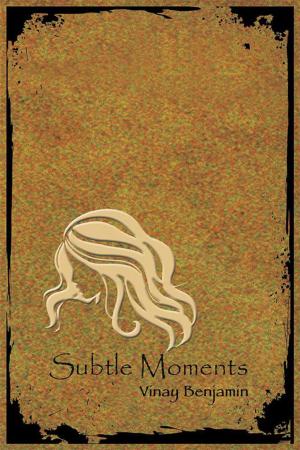 Cover of the book Subtle Moments by Dr George Ho