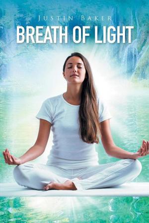 Cover of the book Breath of Light by David Holland