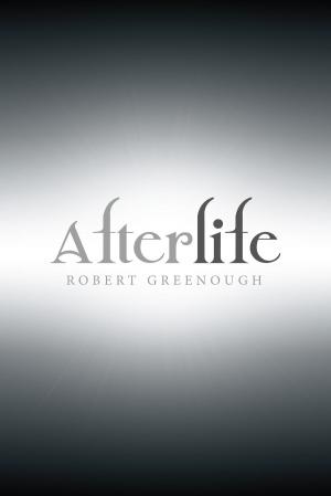 Cover of the book Afterlife by Christopher D. Hartpence